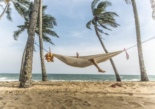 Bild von Puzzle Beach Hammock